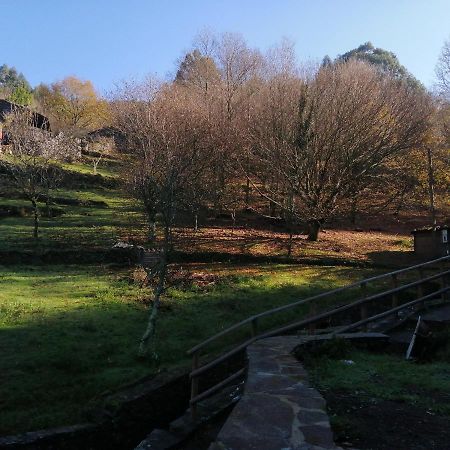 Casa De Baixo Apartment Lousã Екстериор снимка